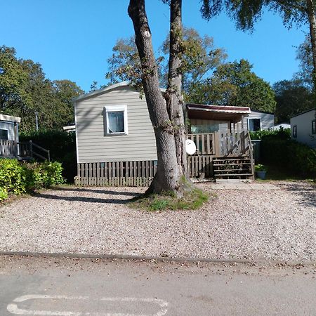 Mobil-Home Trigano 3 Chambres Pont-Aven Eksteriør bilde